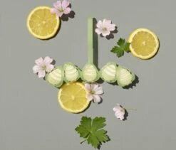 Marcel's Green Soap Toiletblok Geranium & Citroen - 55 Gram 11 Marcel's Green Soap Toiletblok Geranium & Citroen - 55 Gram -Schoonmaakmiddelen 1200x1023