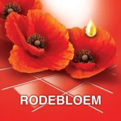 Ajax® Ajax Allesreiniger Fête Des Fleur Rode Bloem 8 X 1L - Voordeelverpakking 14 Ajax® Ajax Allesreiniger Fête Des Fleur Rode Bloem 8 X 1L - Voordeelverpakking -Schoonmaakmiddelen 1200x1200 273