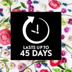 Air Wick Essential Mist Automatische Geurverspreider Luchtverfrisser - Innerlijke Rust - Navulling 17 Air Wick Essential Mist Automatische Geurverspreider Luchtverfrisser - Innerlijke Rust - Navulling -Schoonmaakmiddelen 1200x1200 497