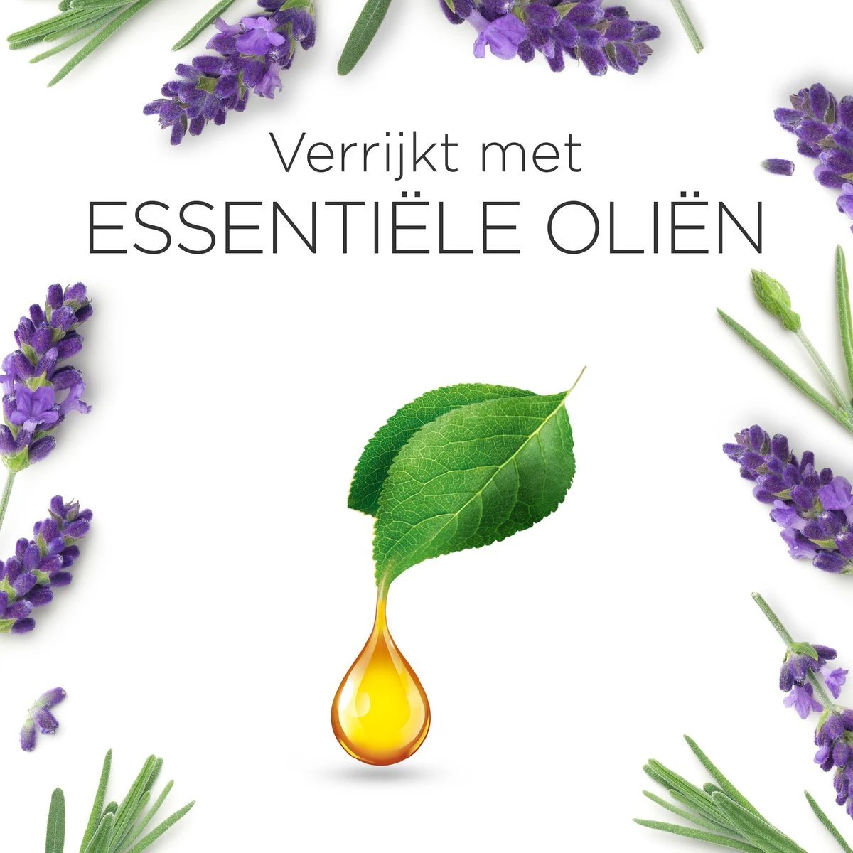 Air Wick Essential Mist Automatische Luchtverfrisser - Ontspannende Lavendel - 3 Navullingen 9 Air Wick Essential Mist Automatische Luchtverfrisser - Ontspannende Lavendel - 3 Navullingen - Afbeelding 7